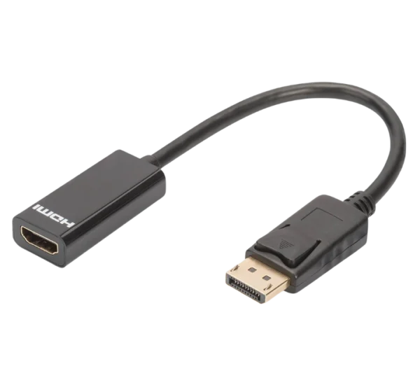 DISPLAY TO HDMI CONVERTER