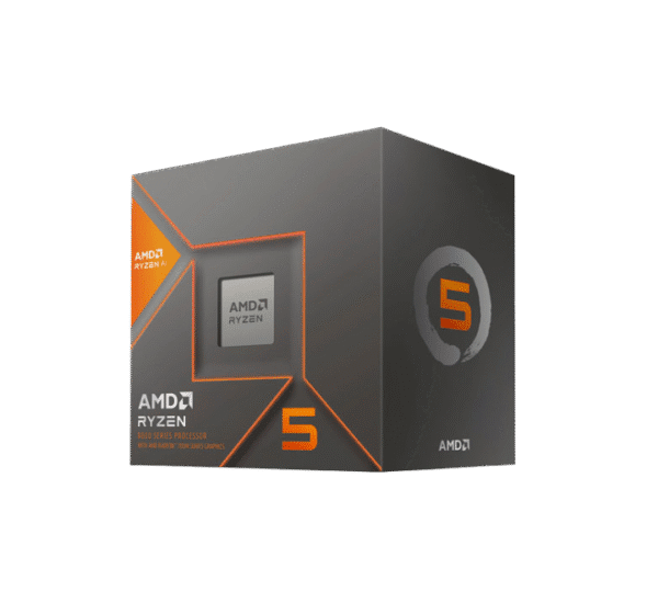 AMD RYZEN 5 8600G